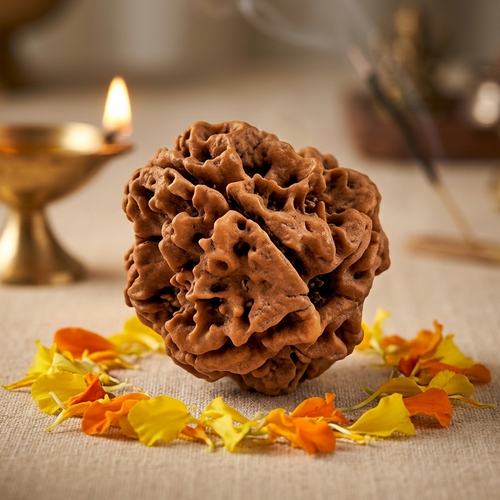 4 Mukhi Nepali Rudraksha – Wisdom of Brahma