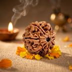 7 Mukhi Nepali Rudraksha – Blessings of Mahalakshmi