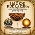 1 Mukhi Rudraksha (Ek Mukhi) – South Indian Original Shiva Bead for Peace, Power & Prosperity