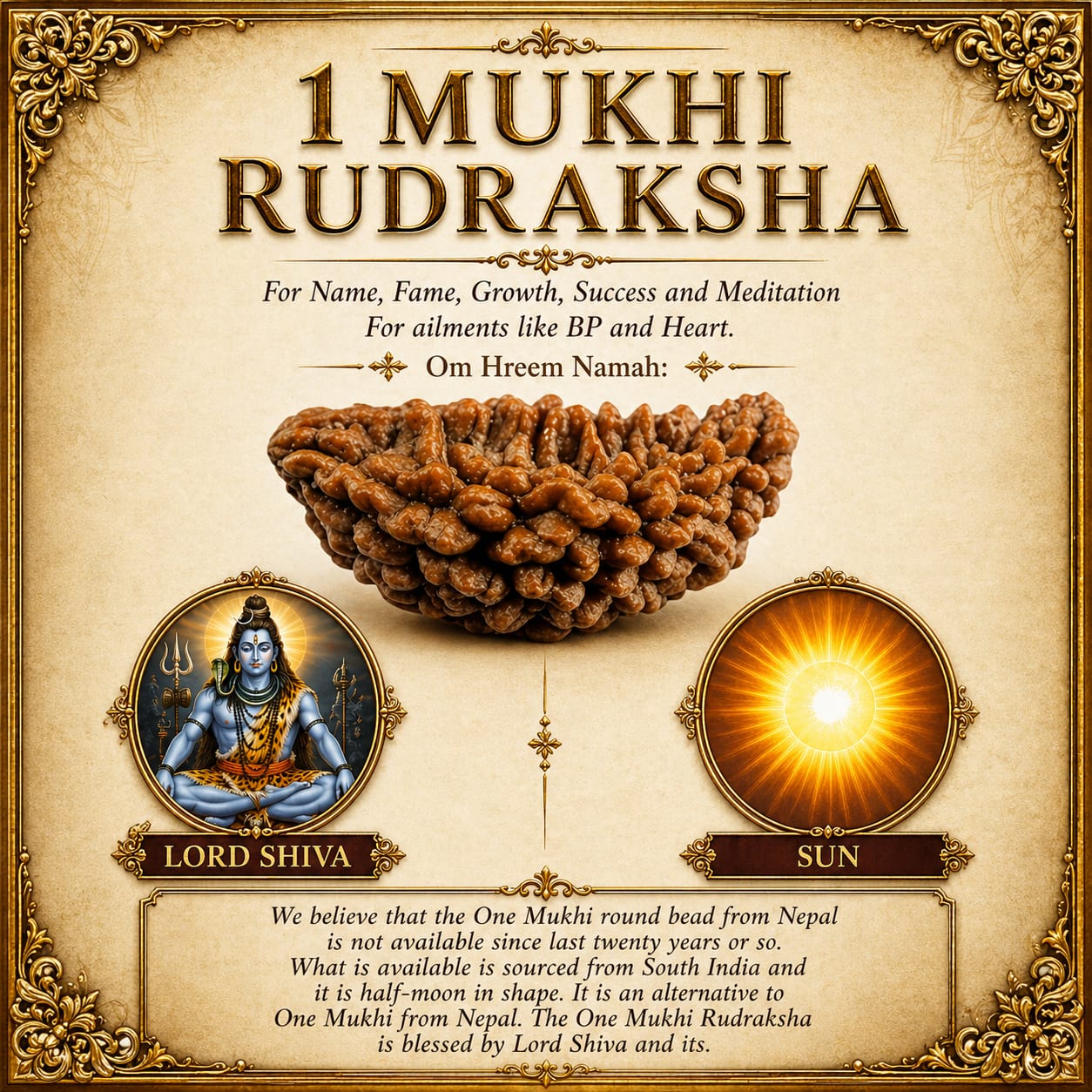 1 Mukhi Rudraksha (Ek Mukhi) – South Indian Original Shiva Bead for Peace, Power & Prosperity