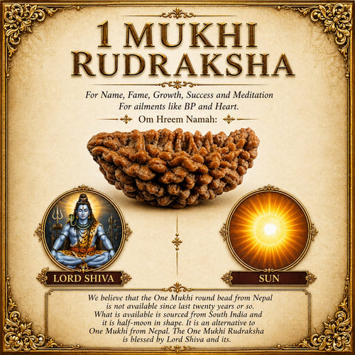 1 Mukhi Rudraksha (Ek Mukhi) – South Indian Original Shiva Bead for Peace, Power & Prosperity