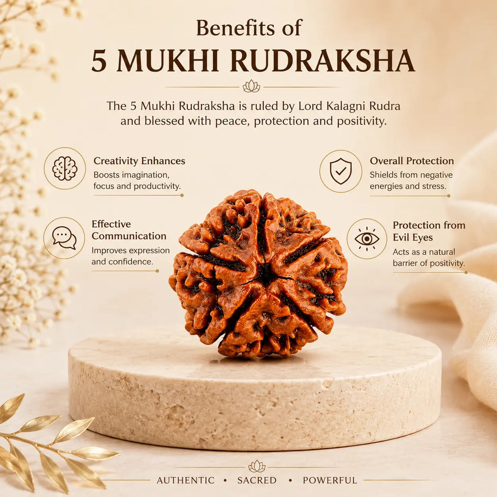🌿 Divine Protection Combo 5 Mukhi Rudraksha + Tulsi 1 Round Kanthi Mala