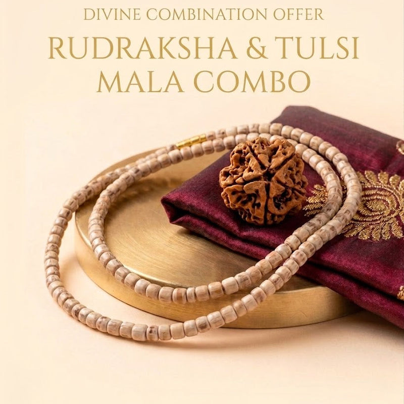 🌿 Divine Protection Combo 5 Mukhi Rudraksha + Tulsi 1 Round Kanthi Mala