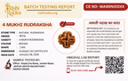 4 Mukhi Nepali Rudraksha – Wisdom of Brahma