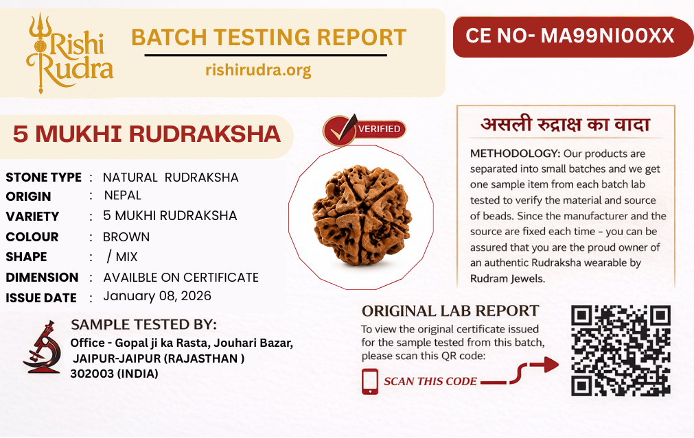 5 Mukhi Nepali Rudraksha – Shiva’s Protection