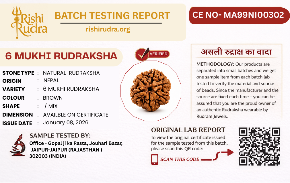 6 Mukhi Nepali Rudraksha – Power of Kartikeya