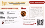 7 Mukhi Nepali Rudraksha – Blessings of Mahalakshmi