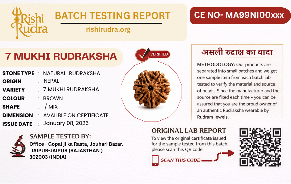 7 Mukhi Nepali Rudraksha – Blessings of Mahalakshmi