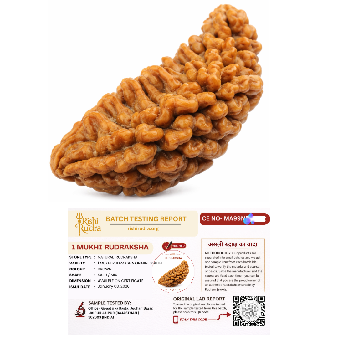 1 Mukhi Rudraksha (Ek Mukhi) – South Indian Original Shiva Bead for Peace, Power & Prosperity