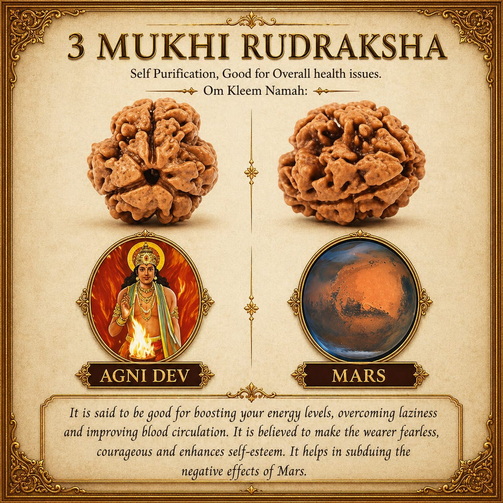 3 Mukhi Rudraksha Wear = the Power of Agni 🔥