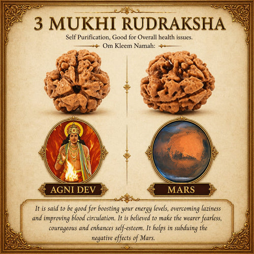 3 Mukhi Rudraksha Wear = the Power of Agni 🔥