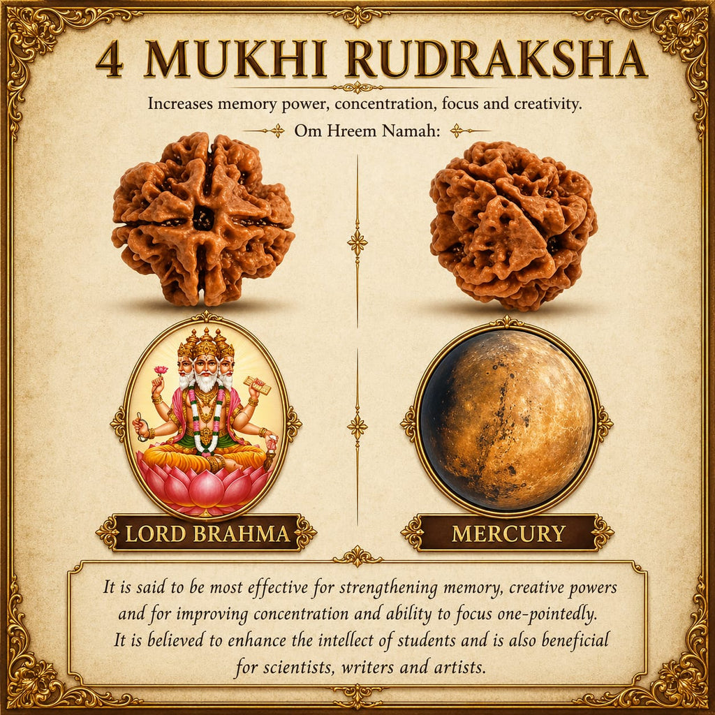 4 Mukhi Nepali Rudraksha – Wisdom of Brahma