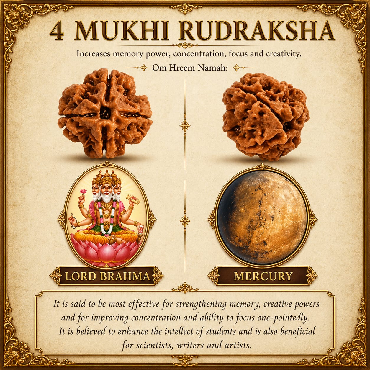 4 Mukhi Nepali Rudraksha – Wisdom of Brahma
