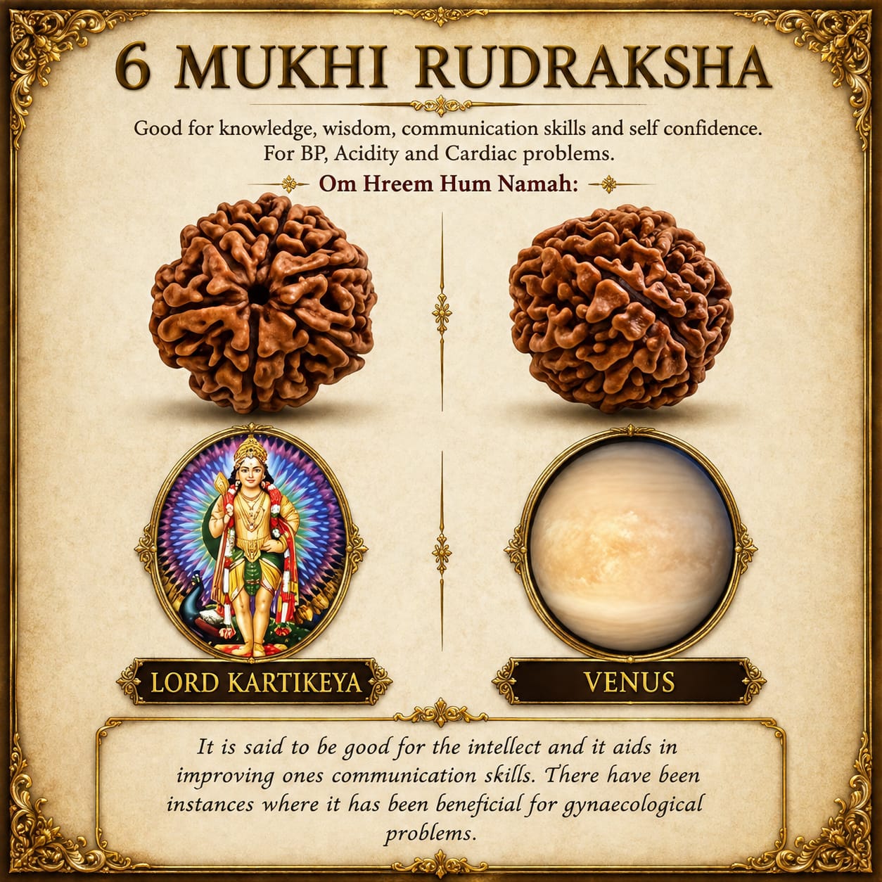 6 Mukhi Nepali Rudraksha – Power of Kartikeya