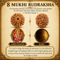 8 Mukhi South Rudraksha – Blessings of Ganesha