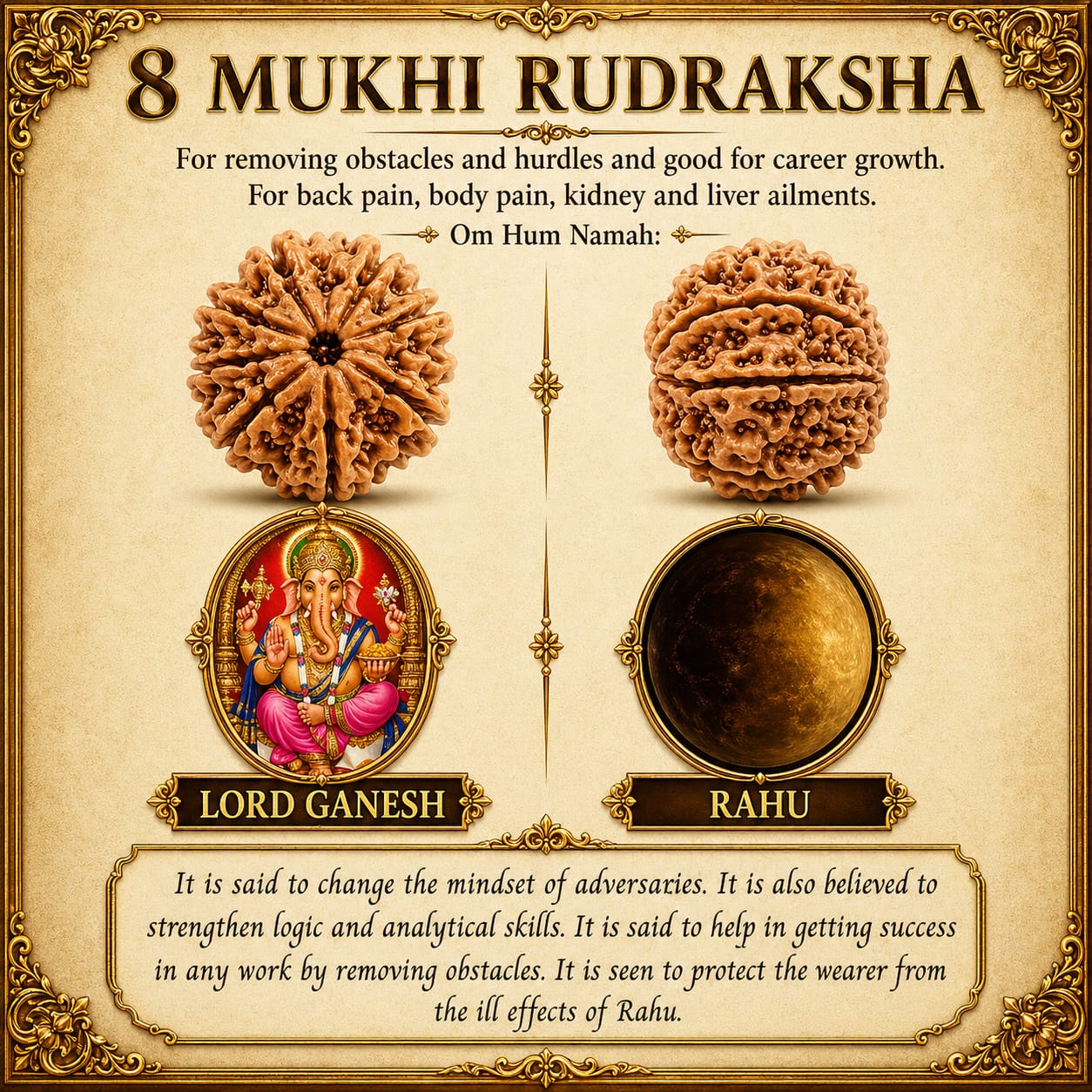 8 Mukhi South Rudraksha – Blessings of Ganesha