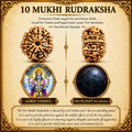 10 Mukhi Indonesian Rudraksha – Protection of Vishnu