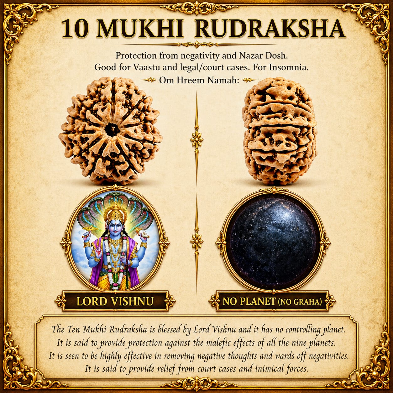10 Mukhi Indonesian Rudraksha – Protection of Vishnu