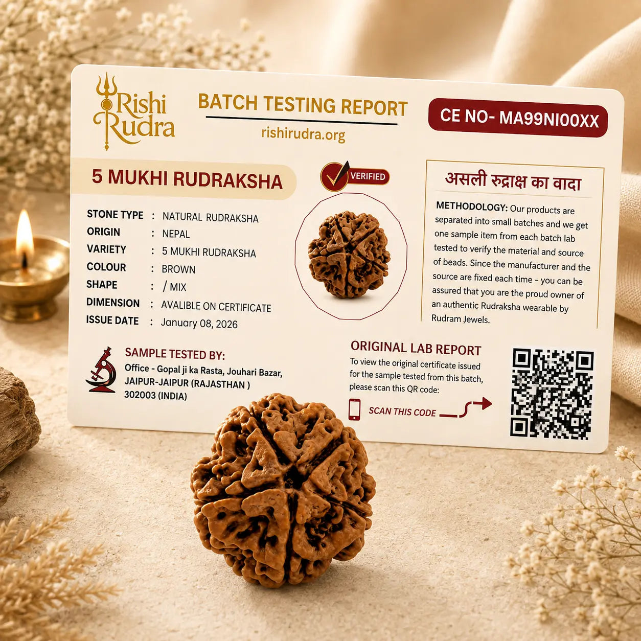 🌿 Divine Protection Combo 5 Mukhi Rudraksha + Tulsi 1 Round Kanthi Mala