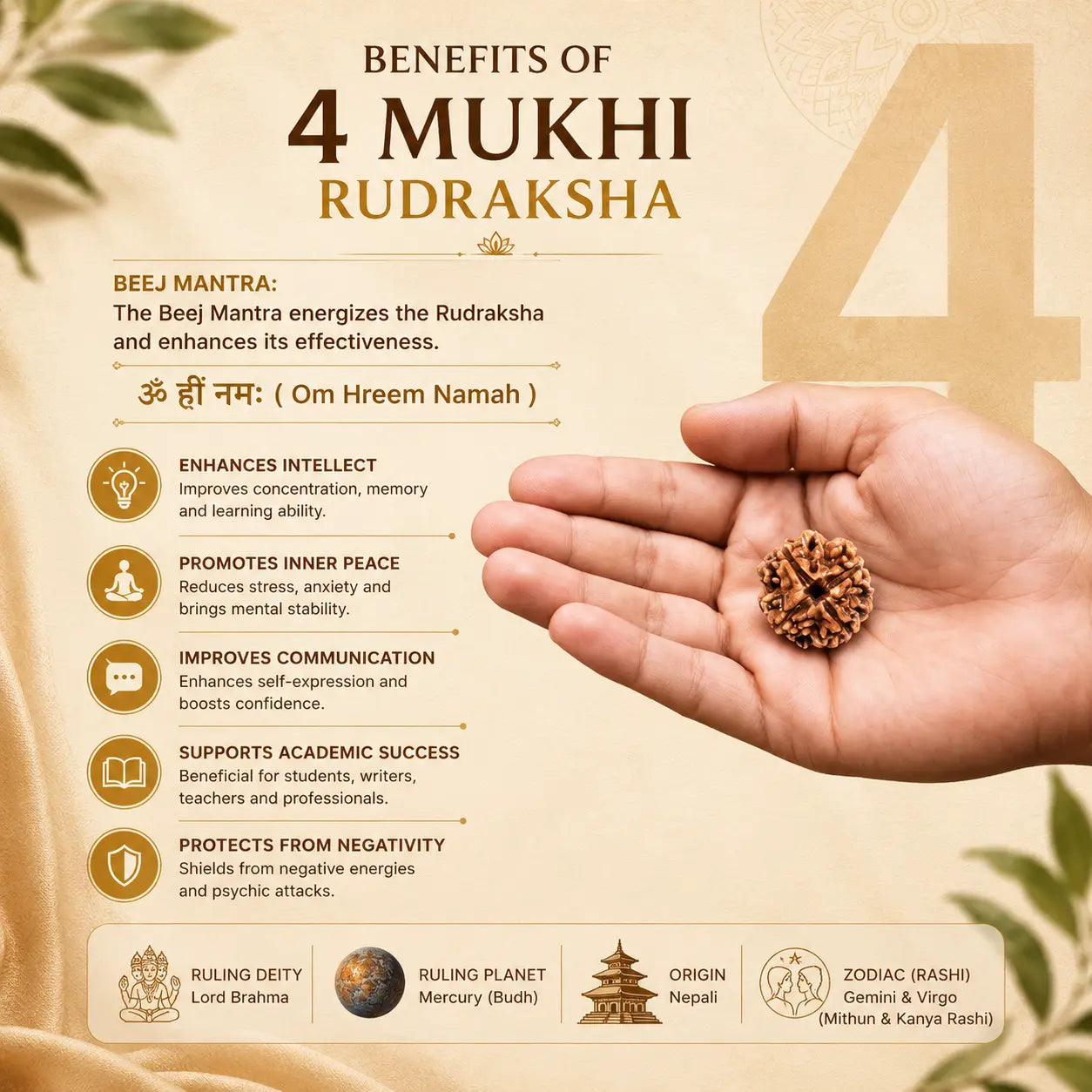 4 Mukhi Nepali Rudraksha – Wisdom of Brahma