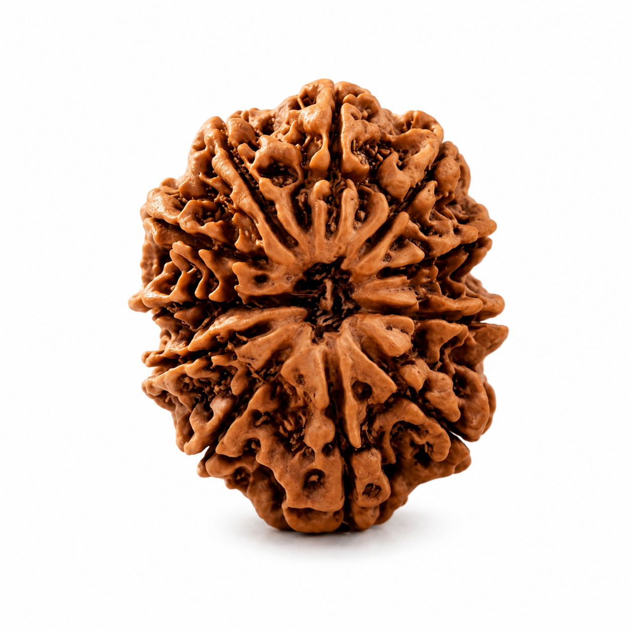 11 Mukhi Rudraksha – Power of Hanuman