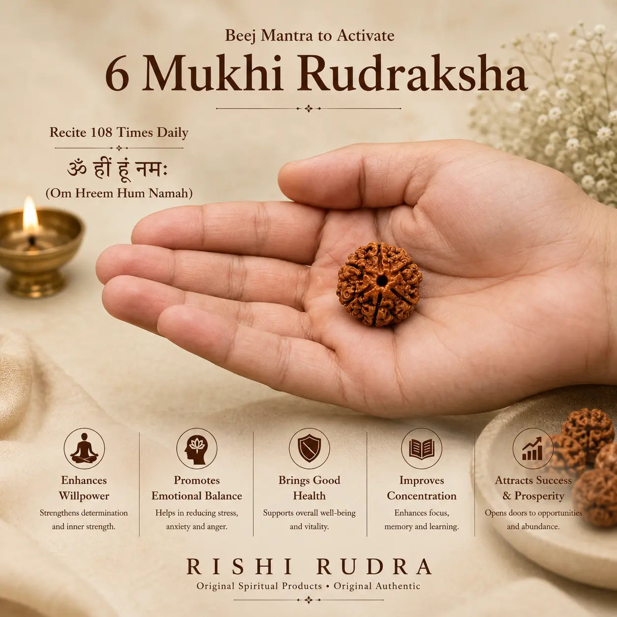 6 Mukhi Nepali Rudraksha – Power of Kartikeya